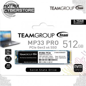 TEAMGROUP MP33 PRO M.2 PCIe NVMe 512 Go